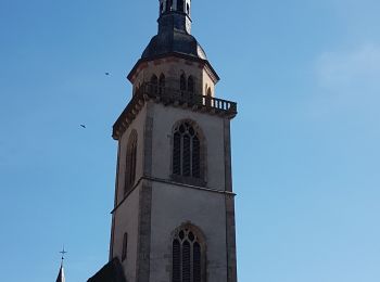 Tour Wandern Andlau - Andlau - châteaux d'Andlau et du Spesbourg - Photo