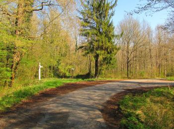 Trail Walking Saint-Crépin-aux-Bois - en forêt de Laigue_3_07_2019_La Malmère_Les Croisettes_Monts du Rond Buisson et des Châtillons - Photo