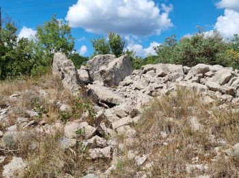 Randonnée Marche Saint-Paul-le-Jeune - Sentier des dolmens - Photo