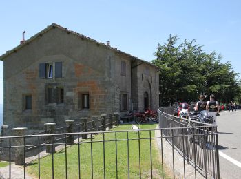 Trail On foot Tredozio - L’Acquacheta e l’Alto Montone - Photo