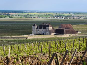 Tour Wandern Vougeot - 06 05 22 Vougeot Chambolle Musigny - Photo