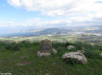 Percorso A piedi מועצה אזורית עמק הירדן - ואדי אל ג'ורם - Photo