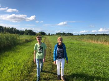 Trail Walking Steenwijkerland - Wieden Kiersche Weijde - Photo