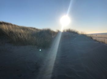 Trail Walking Koksijde - Ostduinkerke bray-dunes - Photo
