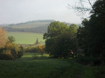 Excursión A pie Dornburg-Camburg - Rundweg Camburg-Stöbnitz - Photo