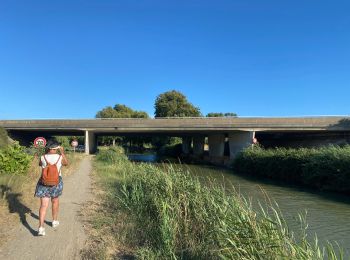 Excursión Senderismo Gruissan - Gruissan  Narbonne - Photo