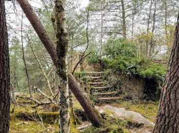 Randonnée Marche Noisy-sur-École - Boucle les trois pignons Fontainebleau - Photo