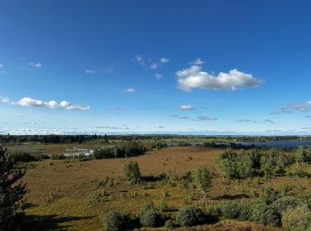 Percorso Marcia Bonnevaux - Le belvédère de Chatel-Véron et sa vue sur le marais du Varot à Bonnevaux - Photo