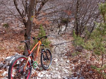 Trail Mountain bike Bédoin - Enduro ventoux Jas de Roubin - Photo