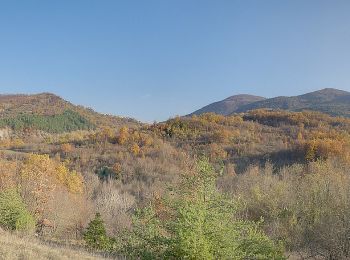 Tocht Te voet Fabbrica Curone - Fabbrica Curone - Selvapiana - Photo