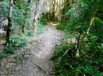 Trail Walking Plan-de-Baix - Le Canyon des Gueulards - Photo