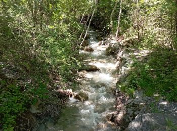 Trail Walking Savines-le-Lac - Serre-Ponçon 04 06 2024 (Savine le lac) - Photo