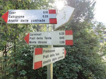 Excursión A pie Carenno - Sentiero 571: Periplo della Valle Imagna - da Almenno S.S. a Clanezzo seguendo lo spartiacque - Photo