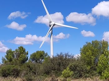 Excursión Senderismo Lézignan-Corbières - Lezignan - Photo