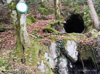 Randonnée Marche Rupt-sur-Moselle - rando rupt : parier, beluet, grotte de sauture  - Photo