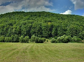 Excursión A pie  - Câmpu Cetății - Culmea Tâmpa - Eremitu - Photo