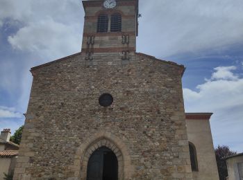 Tour Wandern Leigneux - Randonnée au dessus de Leigneux  - Photo