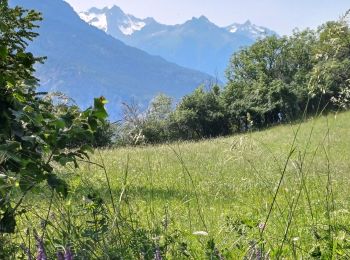 Trail Walking La Tour-en-Maurienne - Le Golet - Montandre- chapelle de Grenis - Photo
