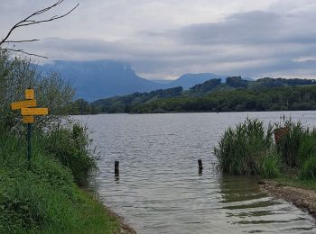 Randonnée Marche Saint-Pierre-de-Soucy - Tour du lac Ste Hélène  - Photo