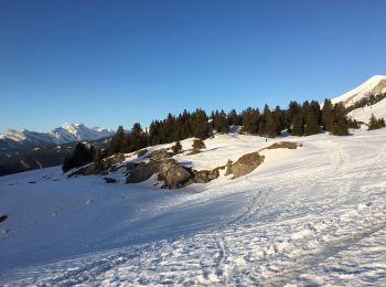 Excursión Raquetas de nieve La Clusaz - L’étale  - Photo