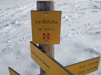 Excursión Esquí de fondo Hauteluce - tête de la Ruelle -Bolchu- col de la Gittaz  - Photo