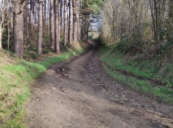 Trail Walking Herent - VELTEM - Photo