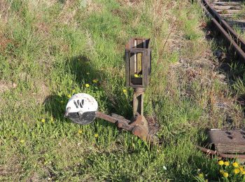 Randonnée A pied Rabenau - Rabenauer Höhenweg - Photo