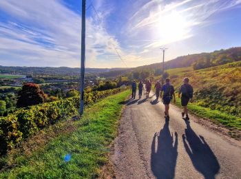 Trail Walking Saâcy-sur-Marne - Boucle Nanteuil Saacy - Charly sur Marne - Photo