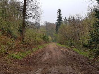 Trail Walking La Londe - 20190416 la londe  - Photo