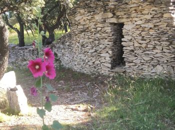 Tocht Stappen Nîmes - MARGUERITTES FONT D'AUBARNE - Photo