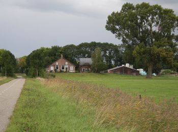 Randonnée A pied Kampen - WNW IJsseldelta -Kampereiland - groene route - Photo