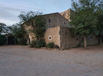 Excursión Senderismo Torroella de Montgrí - chapelle de oalau - Photo