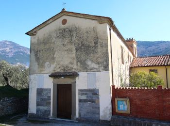 Tour Zu Fuß Calci - 