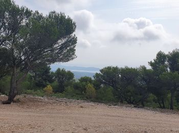 Trail Walking Ceyreste - Ceyreste Vallon de Gendame - Photo