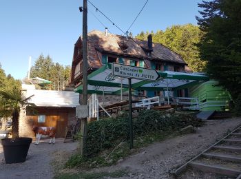 Tour Wandern Oberhaslach - Cascade et château du Nideck - petit tour - Photo