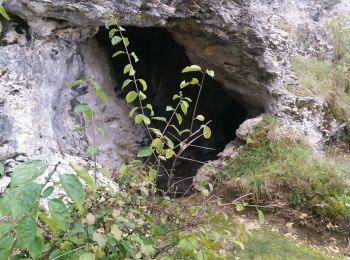 Tour Wandern Nivigne et Suran - Chavannes Grotte de la cabatane  - Photo