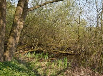 Tour Zu Fuß Mühbrook - Einfelder Sehpunkte - Photo