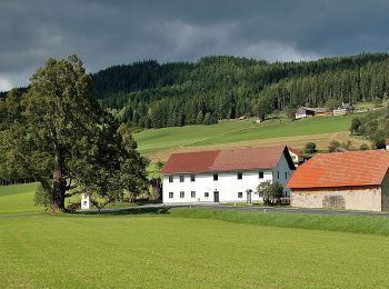 Randonnée A pied Pöllau - Wanderweg 2 - Photo