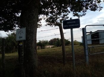 Trail Walking Pouilly-lès-Feurs - Pouilly-les-Feurs, les 2 chapelles - Photo