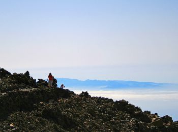 Tocht Te voet La Orotava - S-9 Sendero Teide-Pico Viejo–Mirador de las Narices del Teide - Photo