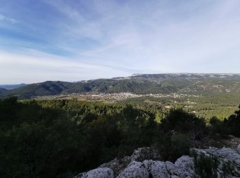 Randonnée Marche Le Castellet - Les crêtes de Cuges les Pins - Photo