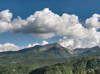 Percorso A piedi Palanzano - Ponte della Colara - Valcieca - Percorso 735 - Photo