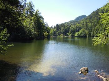 Percorso A piedi Stadt Kufstein - Pfrillsee-Runde - Photo