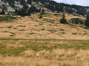 Trail Walking Entremont-le-Vieux - 29 juillet 2023 mont Pinet et rocher de la Fita  - Photo