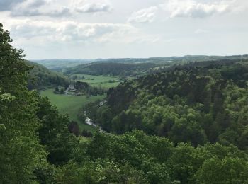 Excursión Bicicleta híbrida Dizy - Belvaux Resteigne Rochefort 65 km - Photo