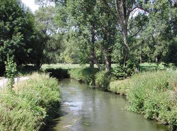 Randonnée Marche Grez-Doiceau - RL-GG-21 - Pécrot - Genval - 2025-03-15 - Photo