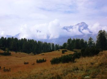 Trail On foot Val di Zoldo - IT-499 - Photo