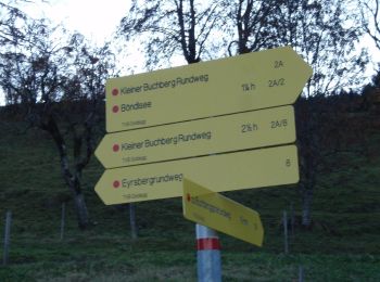 Randonnée A pied Goldegg - Kleiner Buchbergrundweg - Photo