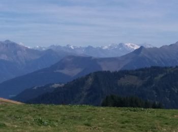 Tocht Stappen Montriond - J11GR5Nord - Photo