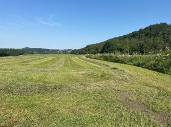 Tour Wandern Châtelet - GR 1666 partie 2 - Châtelet Roux 35 km - Photo